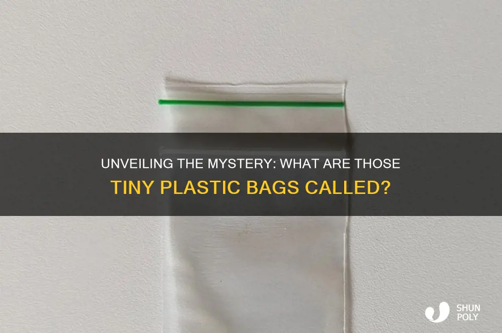 what are those little plastic bags called
