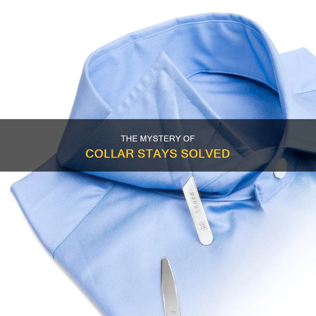 what are those plastic things around collars