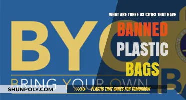 Cities Leading the Charge: US Towns Banning Plastic Bags