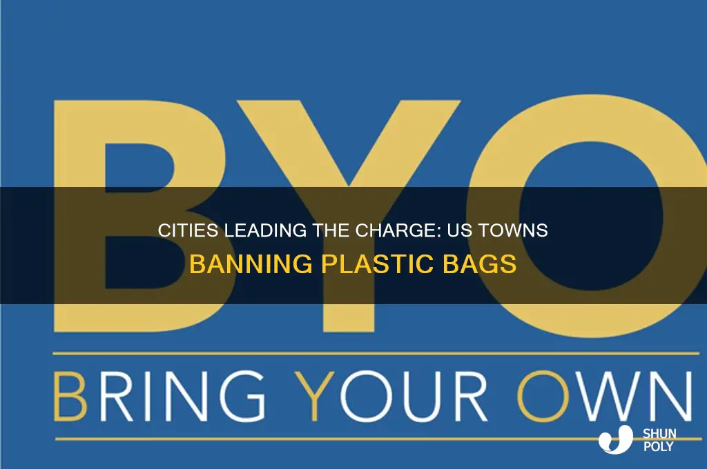 what are three us cities that have banned plastic bags