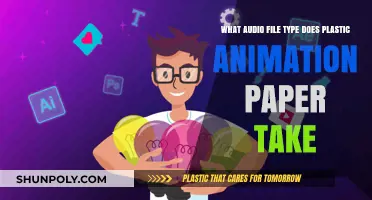 Exploring Audio File Compatibility with Plastic Animation Paper
