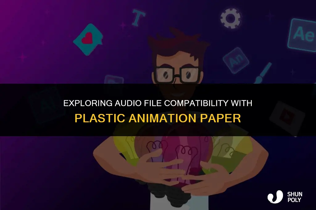 what audio file type does plastic animation paper take