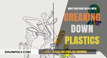 The Plastic-Eating Bacteria: Nature's Solution to Pollution