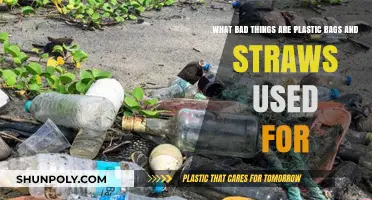 Harmful Uses of Plastic Bags and Straws: Environmental and Health Risks