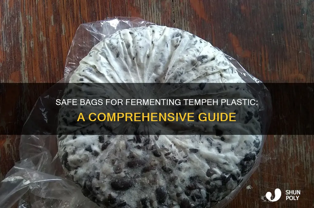 what bags are safe for making fermented tempeh plastic