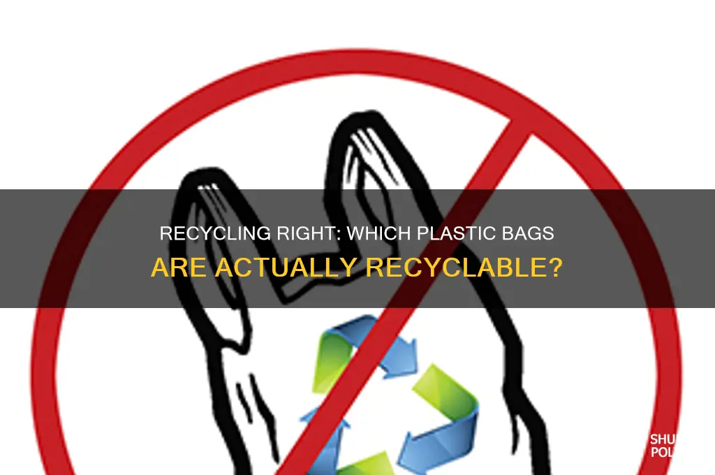 what bags can go in plastic bag recycling