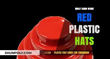 The Red Plastic Hats: Which Band Wore Them?