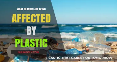 Plastic Pollution: Beaches in Danger
