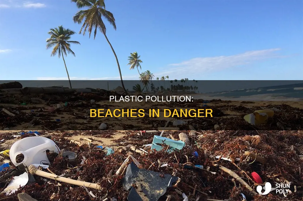 what beaches are being affected by plastic
