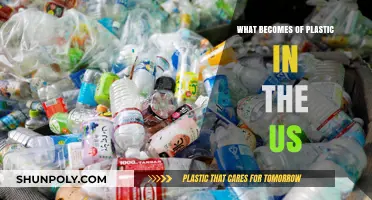 Plastic's Fate in the US: Where Does It Go?