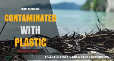 Plastic in Beer: Which Brands are Affected?