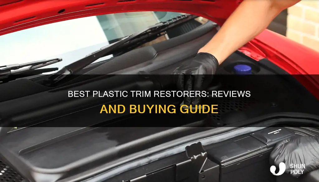 what best for plastic trim restorer