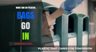 Where to Recycle Plastic Bags: The Right Bin Guide