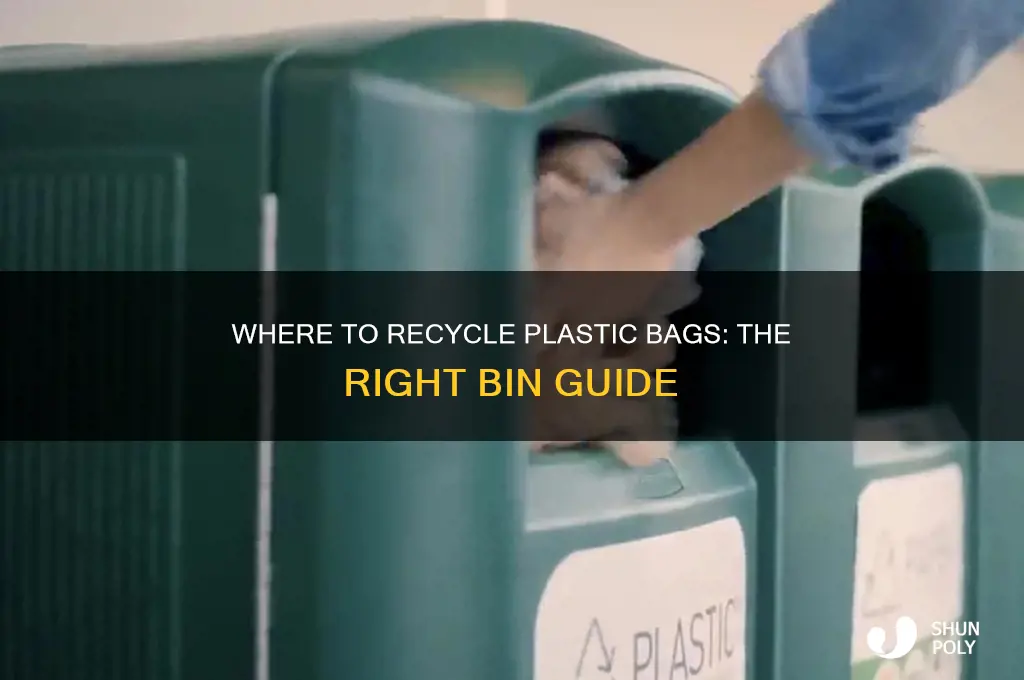 what bin do plastic bags go in