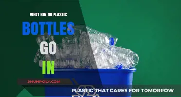 Recycling Right: Which Bin for Plastic Bottles?