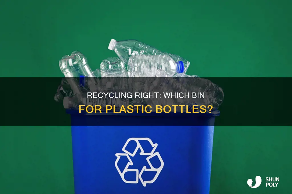 what bin do plastic bottles go in