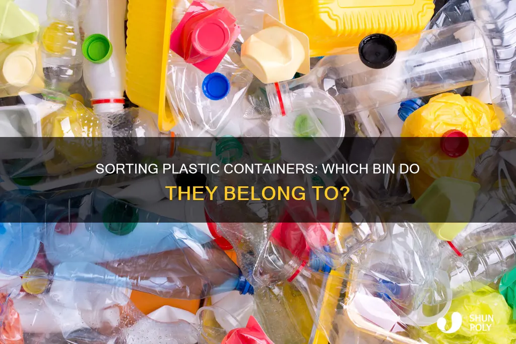 what bin do plastic containers go in