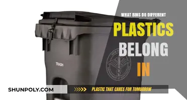Sorting Plastics: Which Bin Do They Belong In?
