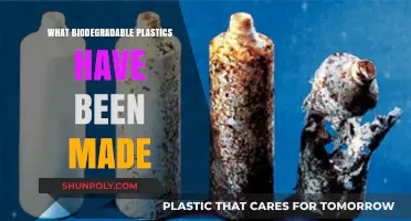 Innovative Biodegradable Plastics: Sustainable Alternatives Shaping a Greener Future