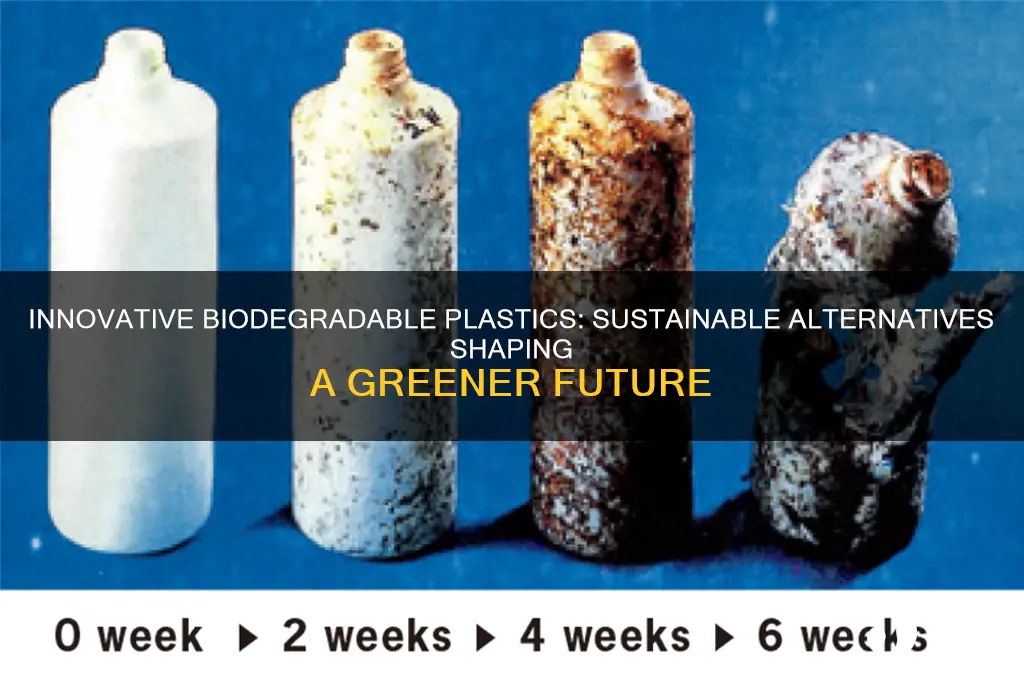 what biodegradable plastics have been made