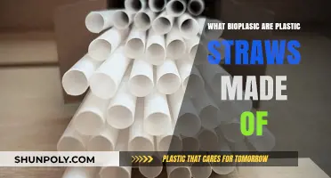 Understanding Bioplastic: The Eco-Friendly Material Behind Plastic Straws