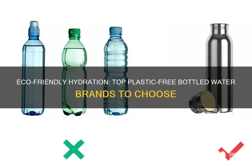 what bottled water does not have plastic in it