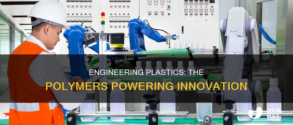 what branch of engineering studies plastics