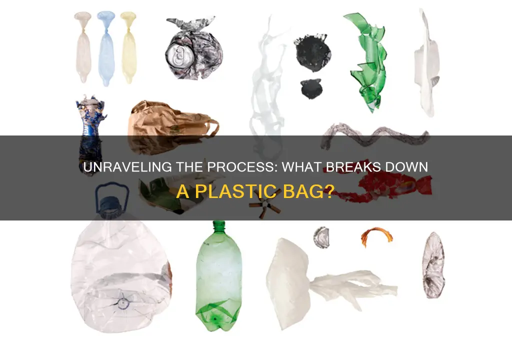what breaks down a plastic bag