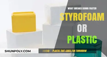 The Breakdown: Styrofoam vs Plastic