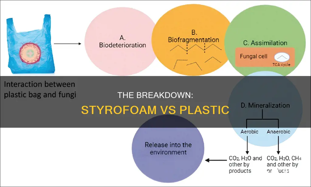 what breaks down faster styrofoam or plastic
