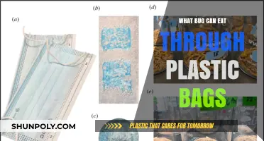Plastic-Eating Bugs: Unveiling Nature's Solution to Plastic Bag Waste
