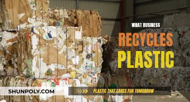 Innovative Businesses: Plastic Recycling for a Sustainable Future