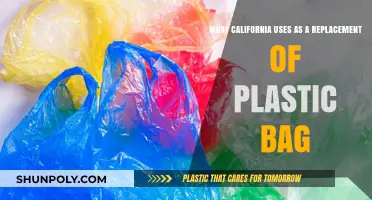 California's Eco-Friendly Shift: Alternatives to Plastic Bags Explained