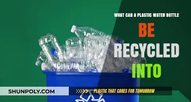 Recycling Plastic Water Bottles: Creative Uses and Eco-Friendly Transformations