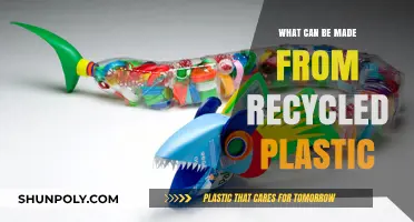 Transforming Trash: Innovative Creations from Recycled Plastic