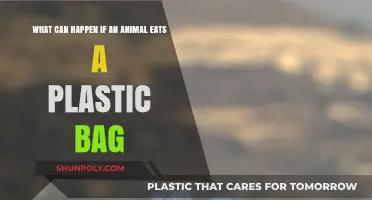 Plastic Bag Dangers: How It Harms Animals and Ecosystems