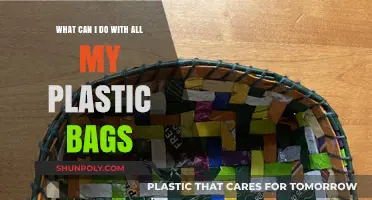 Creative Ways to Reuse and Recycle Your Plastic Bags