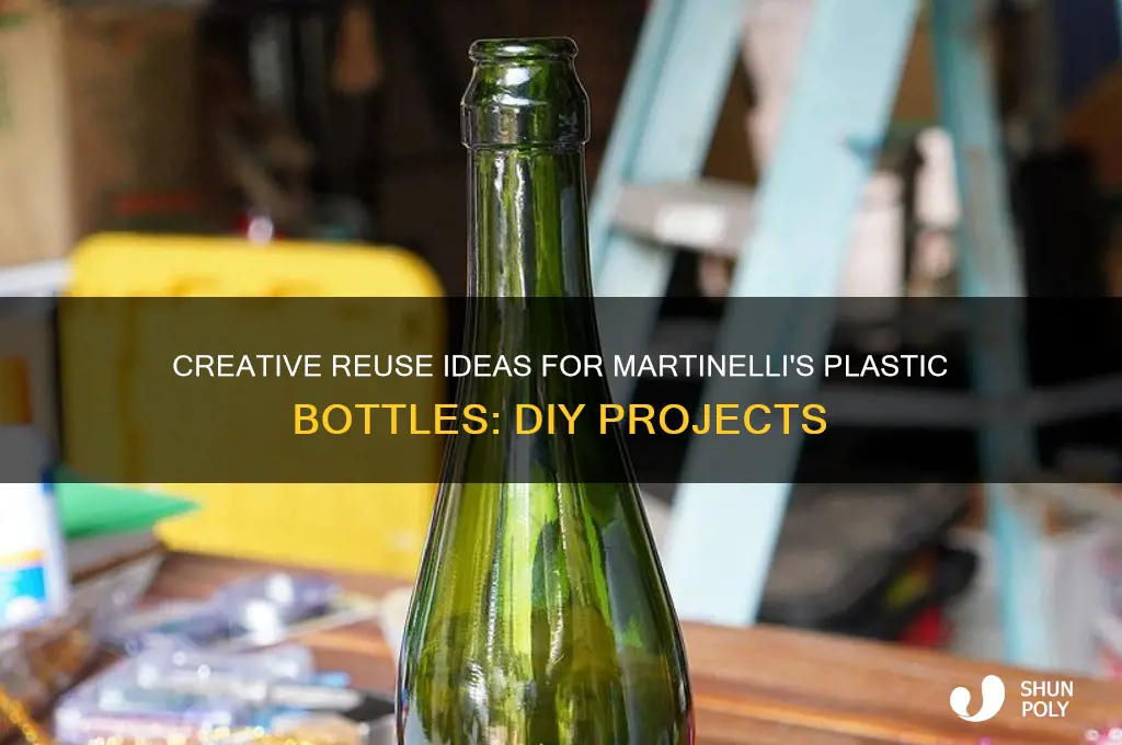 what can i make out of martinelli