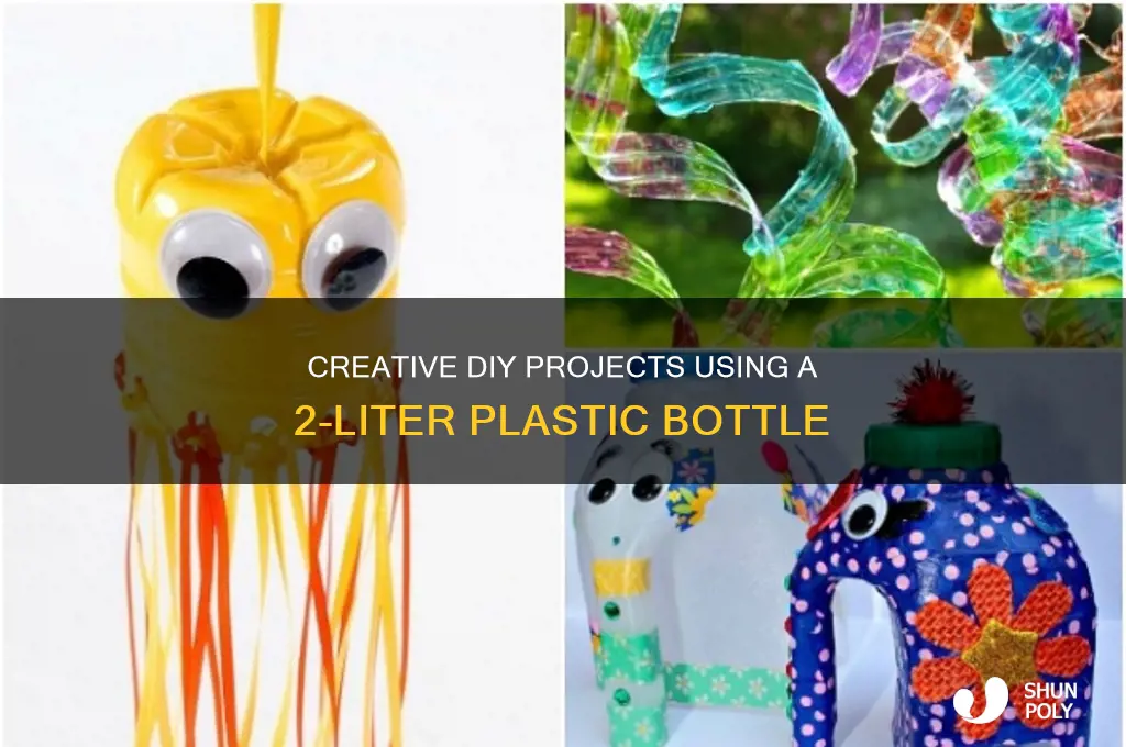 what can i make with a 2 litre plastic bottle