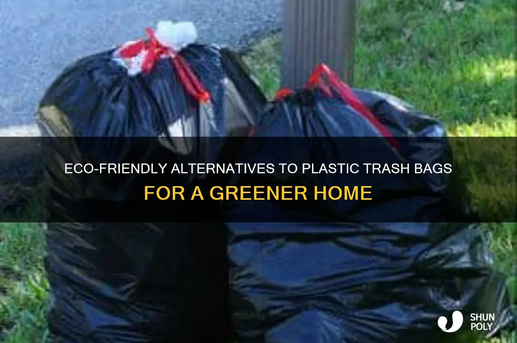 what can i replace plastic trash bags with