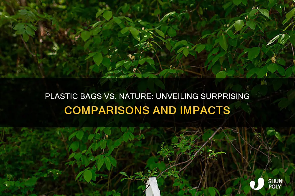 what can plastic bags be compared to
