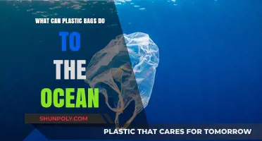 Plastic Bags in the Ocean: Devastating Impacts and Urgent Solutions