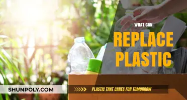 Sustainable Alternatives: Exploring the Future Beyond Plastic