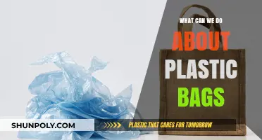 Reducing Plastic Bag Waste: Sustainable Alternatives and Actionable Solutions