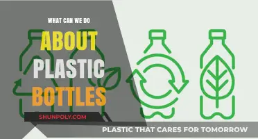 Reducing Plastic Bottle Waste: Practical Solutions for a Greener Future