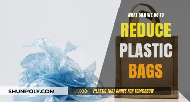 Eco-Friendly Alternatives: Simple Steps to Cut Down on Plastic Bags