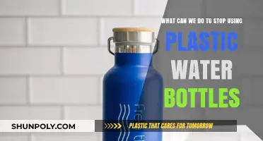 Ditch Plastic Bottles: Sustainable Alternatives to Save Our Planet