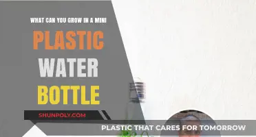 Mini Bottle Gardening: Creative Plants to Grow in Plastic Bottles