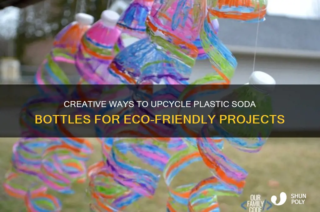 what can you make out of plastic soda bottles