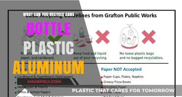 Recycling Guide: Cans, Bottles, Plastic, and Aluminum for a Greener Planet
